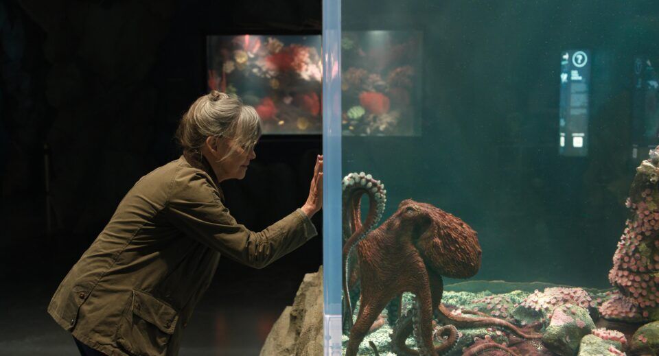 Remarkably Bright Creatures Netflix